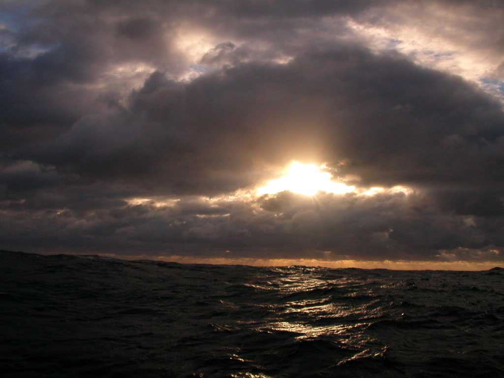 2003-11-15_063-fortunet